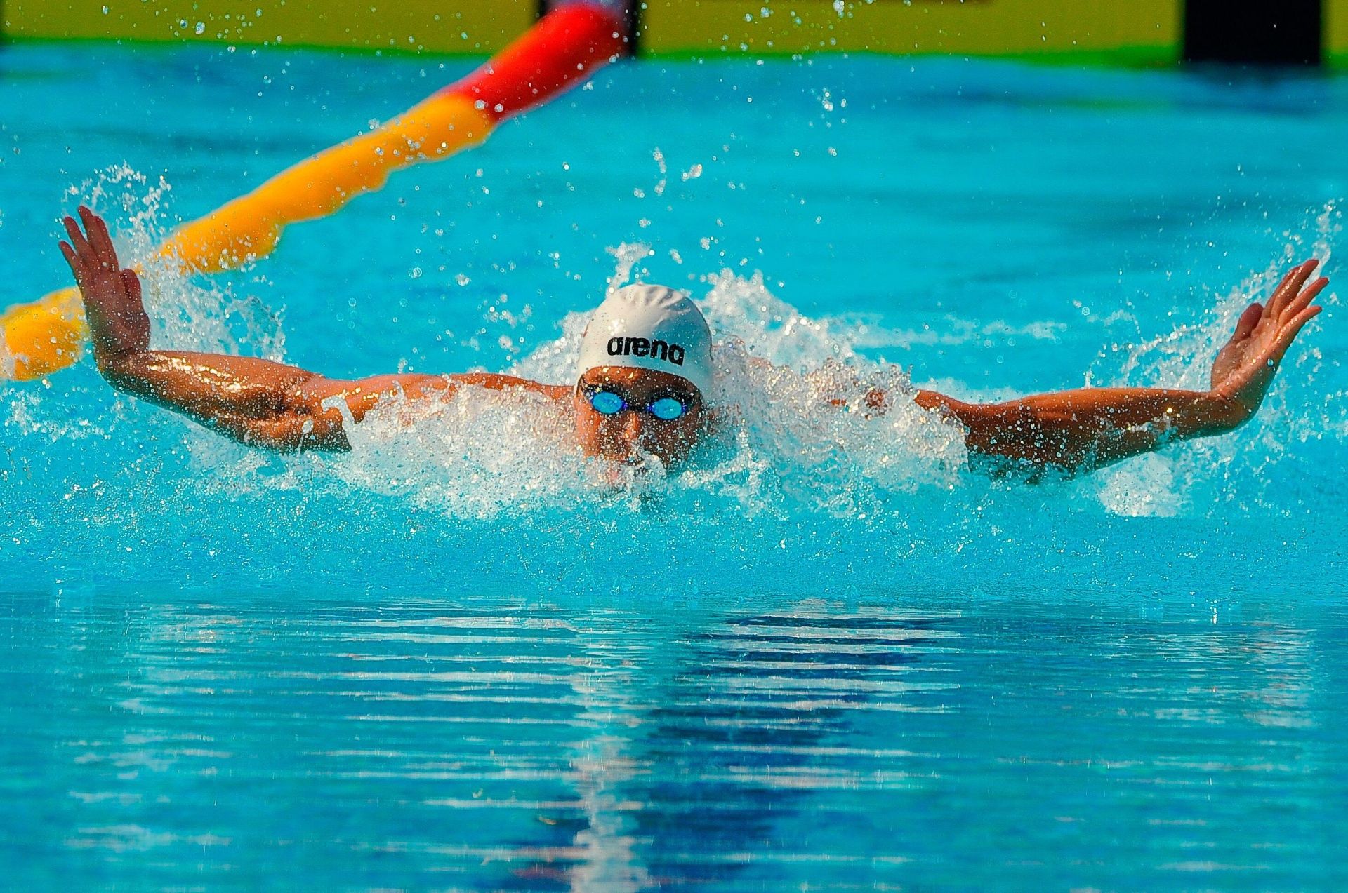 World Champion - Remote Swim Coaching Tier
